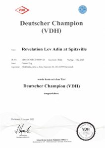Luca Canaan Dog Deutscher Champion VDH